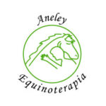 Logo de fundación aneley