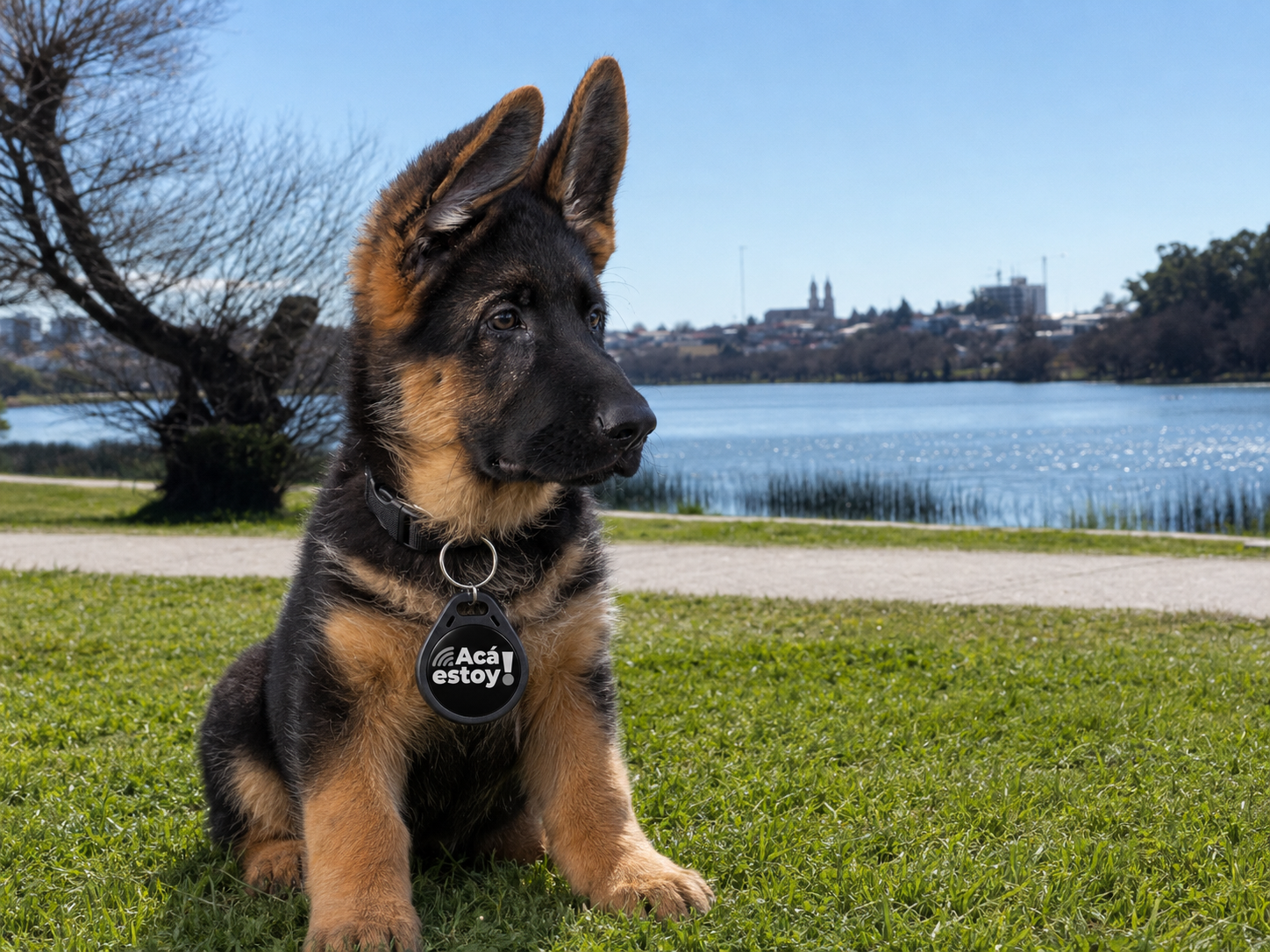 Mascota Costanera